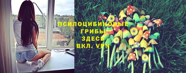 ПСИЛОЦИБИНОВЫЕ ГРИБЫ Абаза