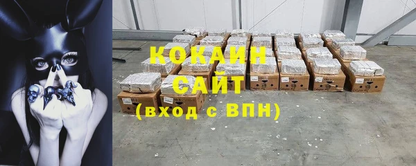 ПСИЛОЦИБИНОВЫЕ ГРИБЫ Абаза